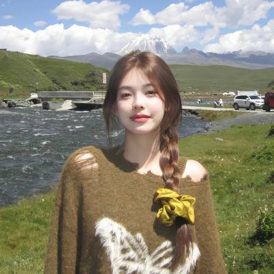勒芒24小时2：分秒必争
